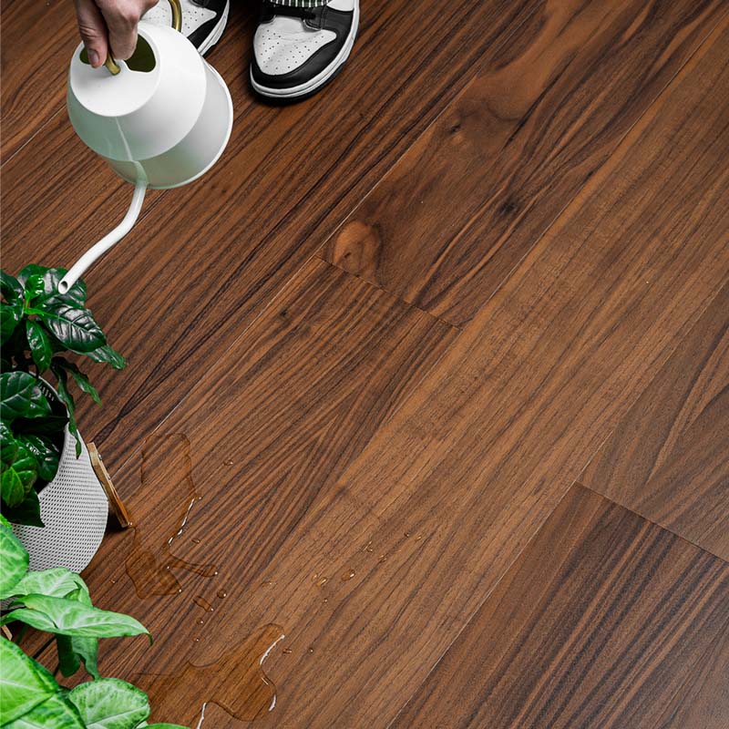 Bella Floor waterproof flooring application