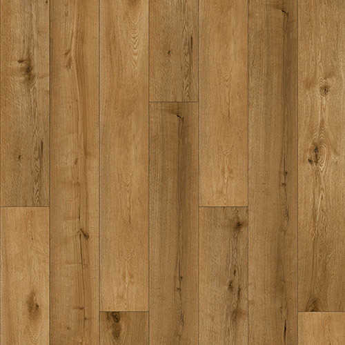 AC-501-PL GOLD OAK