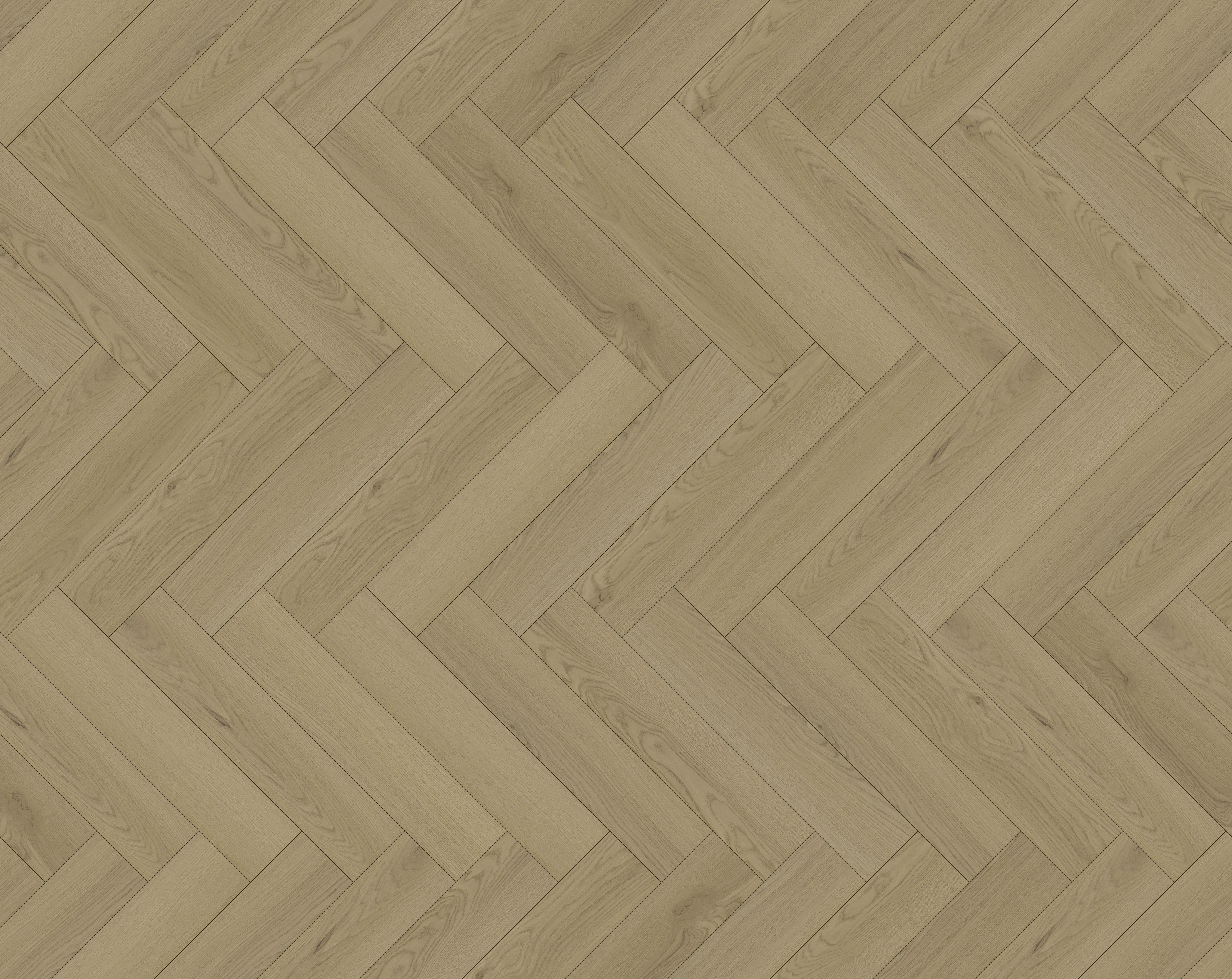 BF5011 texture