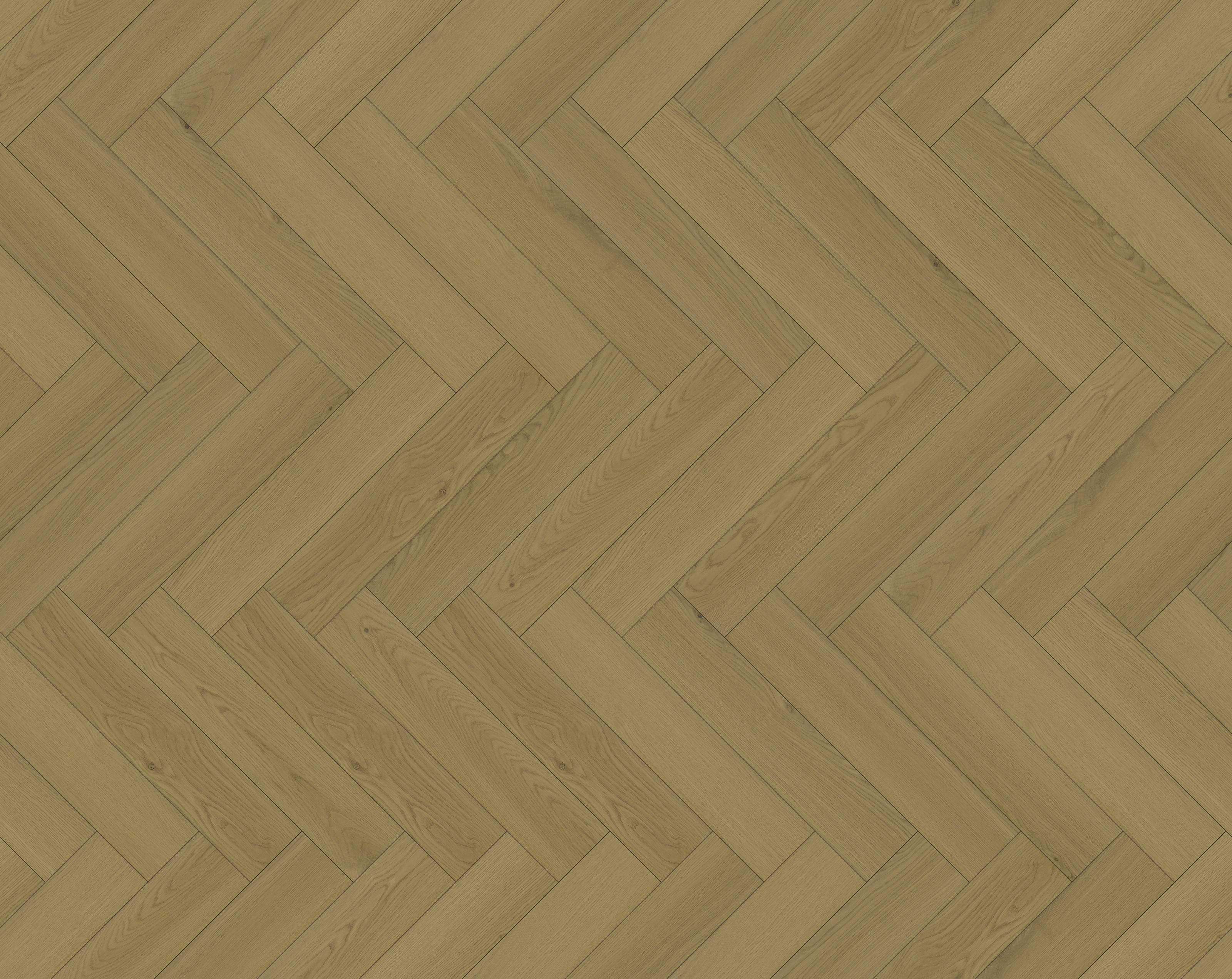 BF5012 texture