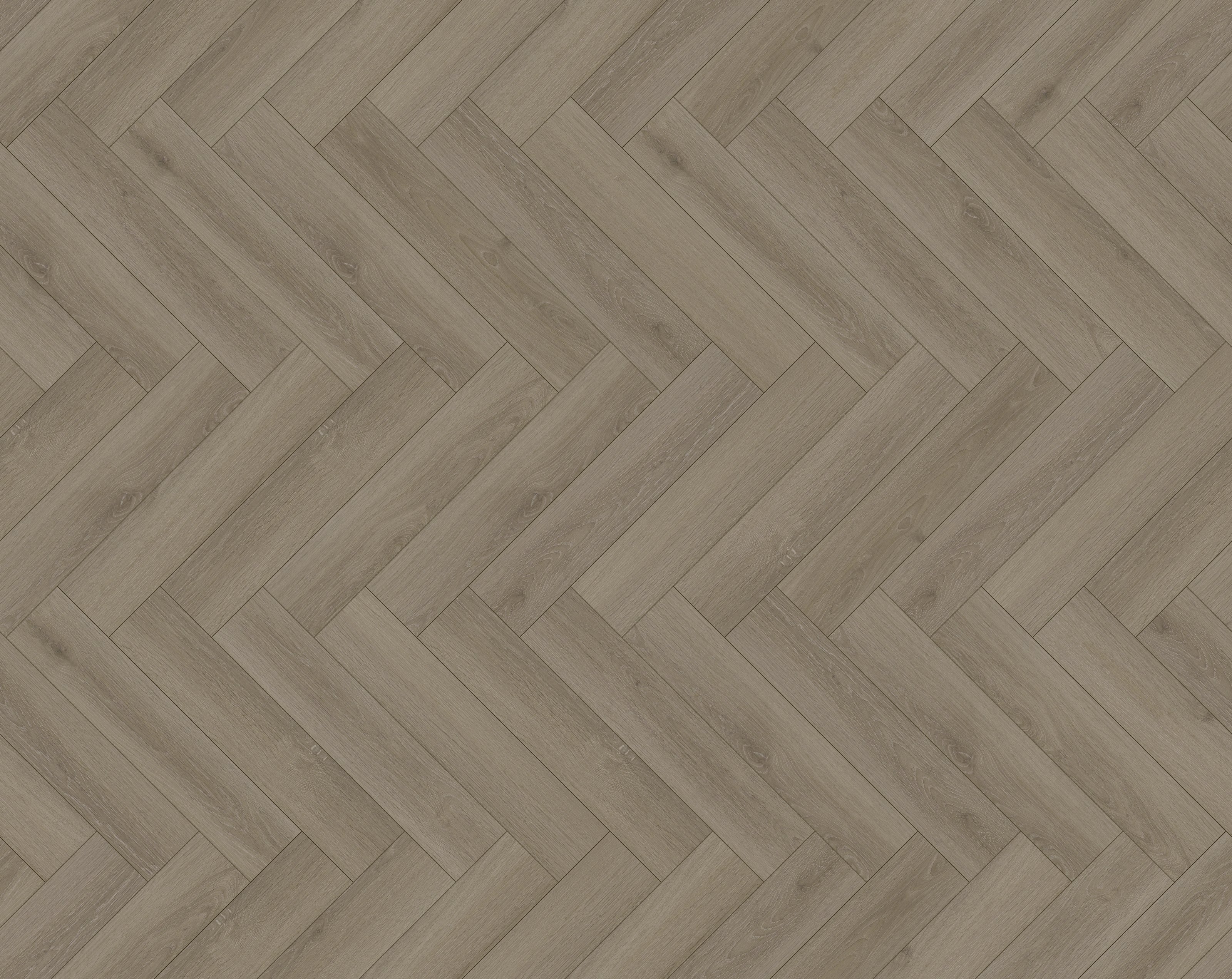 BF5017 texture