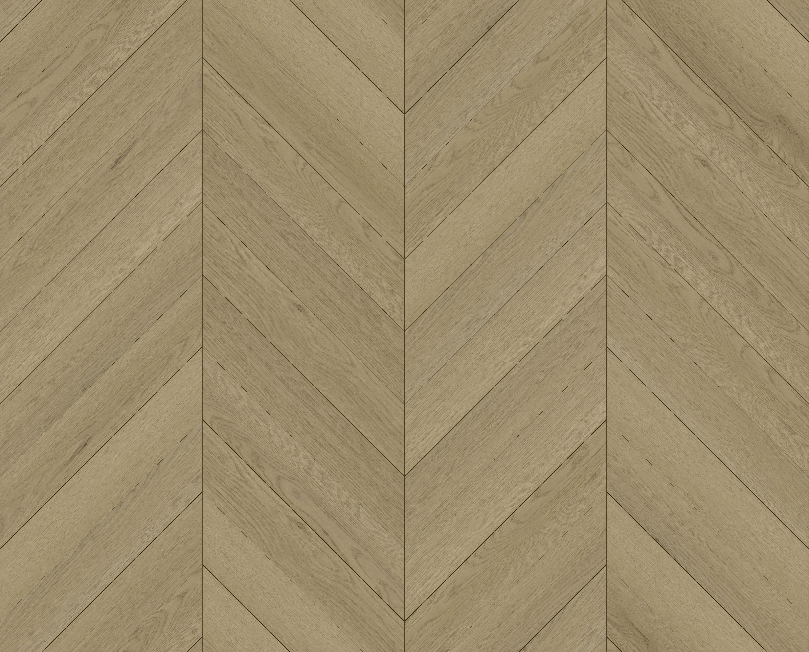 BFC5011 texture