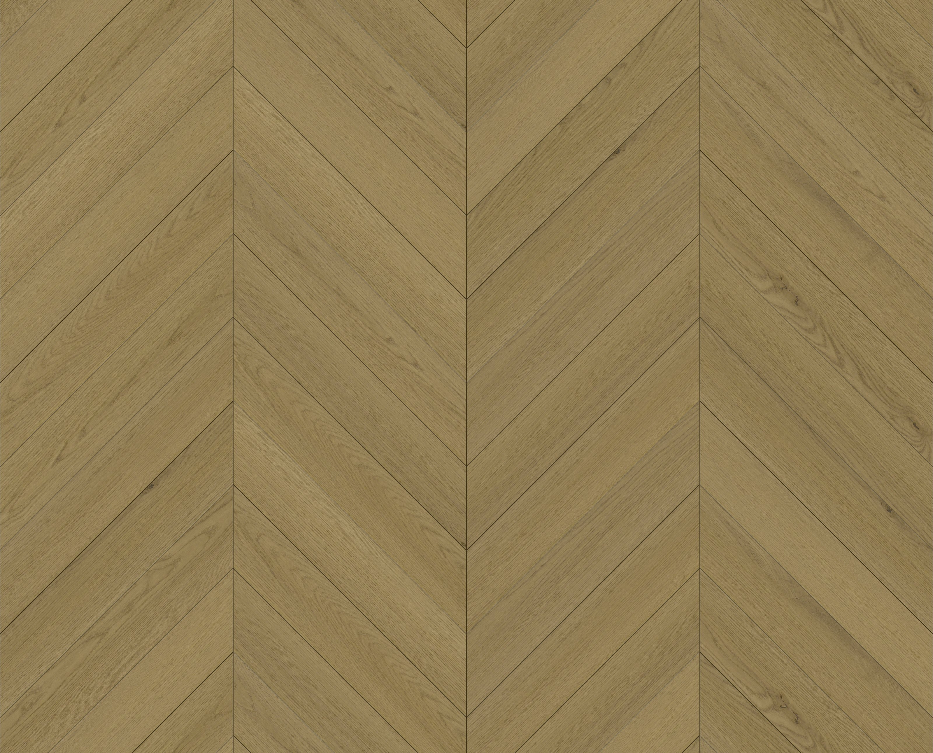 BFC5012 texture